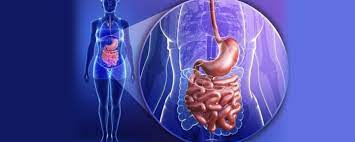 Хвороби шлунково-кишкового тракту: як отримати безоплатну медичну допомогу