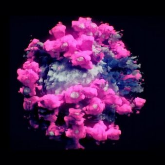 Як «омікрон» уникає контакту з антитілами?