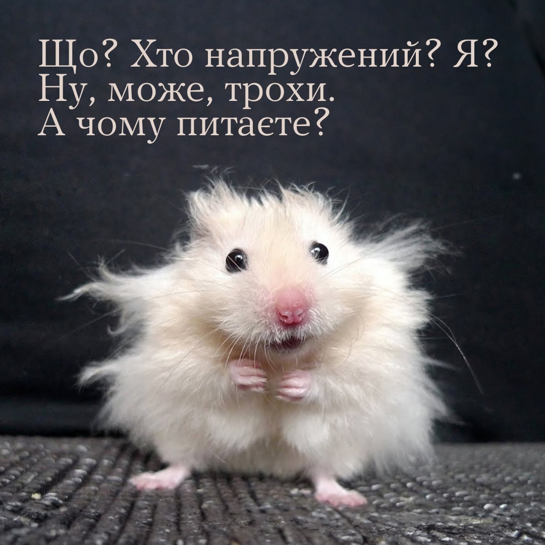 Так помітно?