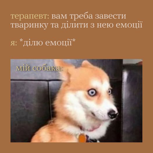 «гормони радості»