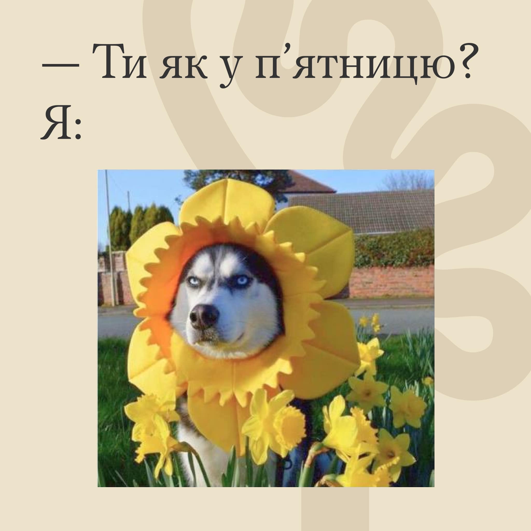 Нам справді цікаво дізнатися, як минув твій тиждень!