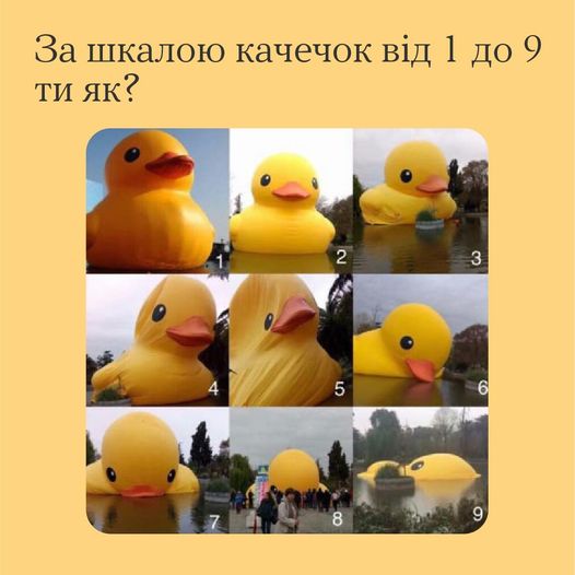 За шкалою качечок від 1 до 9 ти як?