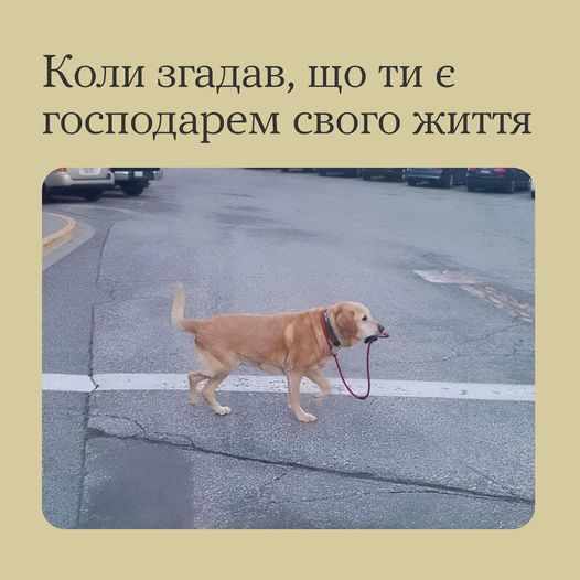 Щоб не йти на поводі у стресу