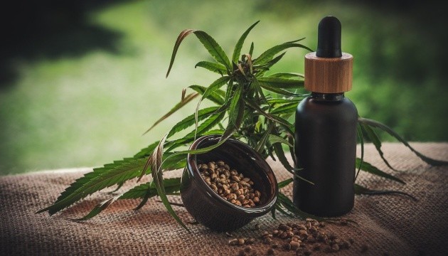 Кабмін виключив канабіс із переліку особливо небезпечних речовин