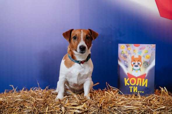 Ми створили і створено книжку «Коли ти…»