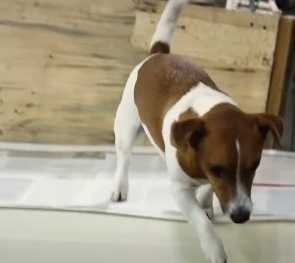 Як друкується нова дитяча книга «Коли ти…»