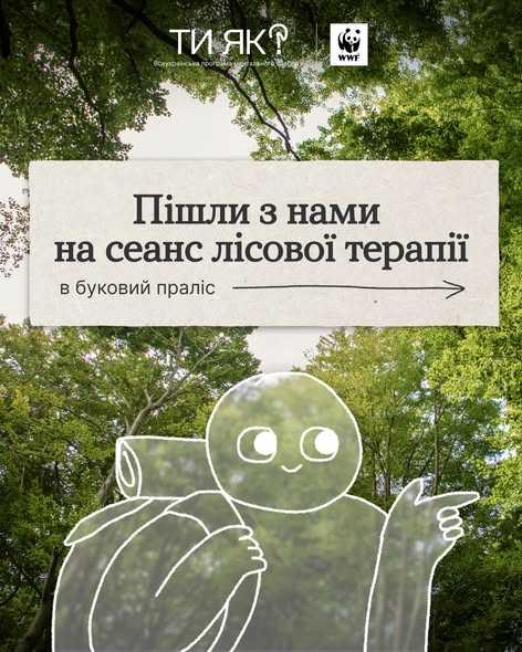 Пішли з нами на сеанс лісової терапії