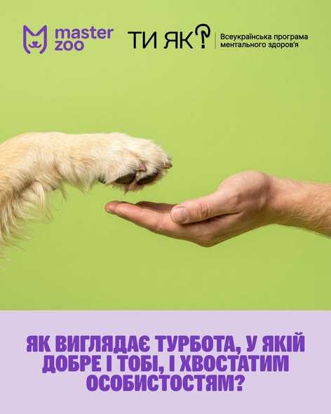 Як виглядає турбота, у якій добре і тобі, і хвостатим особистостям? Як виглядає турбота, у якій добре і тобі, і хвостатим особистостям?
