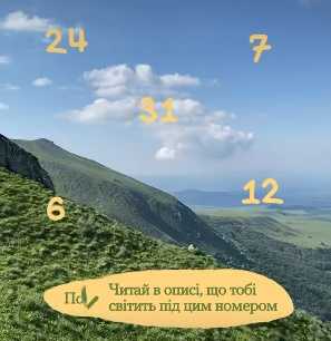 Сьогодні Міжнародний день Сонця Сьогодні Міжнародний день Сонця